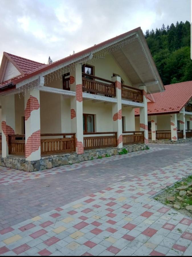 Vovna Apartment Tatariv